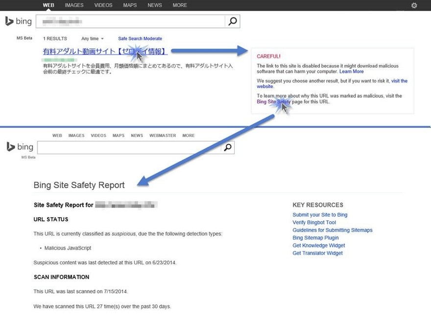 Bing Site Safety Report