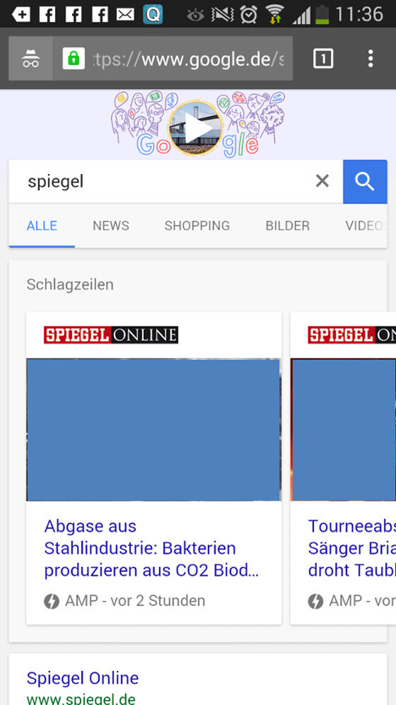 Beispiel für ein AMP-Ergebnis in Deutschland