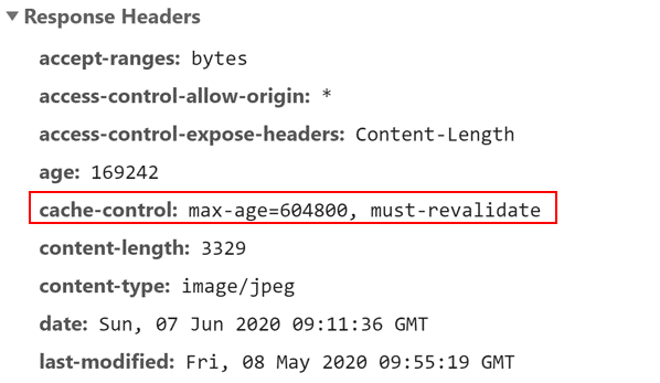 Cache Control Header