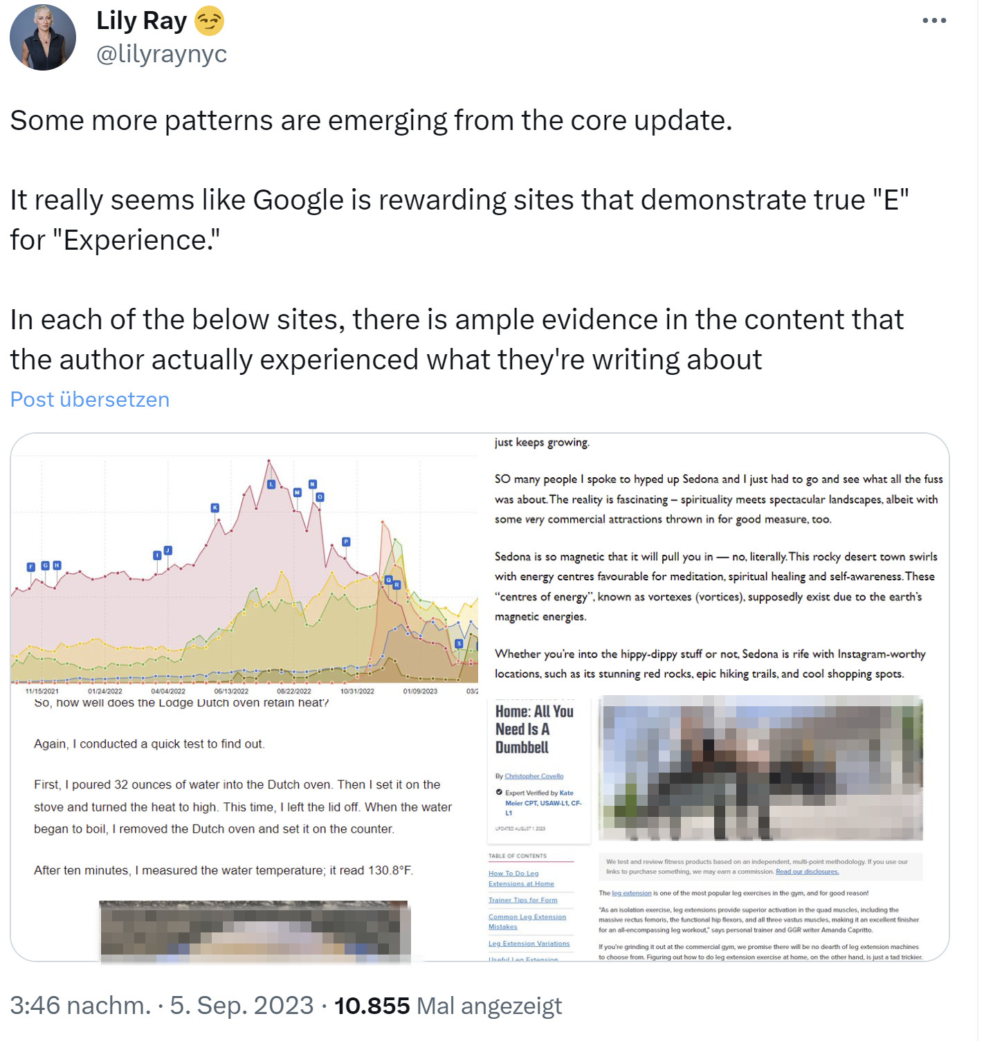 Google Core Update vom August: Websites mit Experience sind oftmals Gewinner - Lily Ray auf Twitter