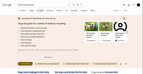 Google testet Featured Snippet in SGE