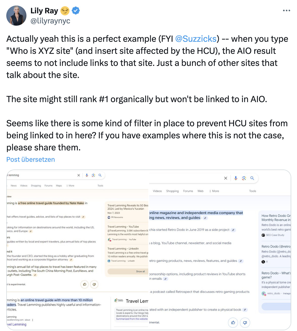 Google filtert Websites aus den AI Overviews heraus, die vom HCU betroffen sind - Lily Ray auf Twitter