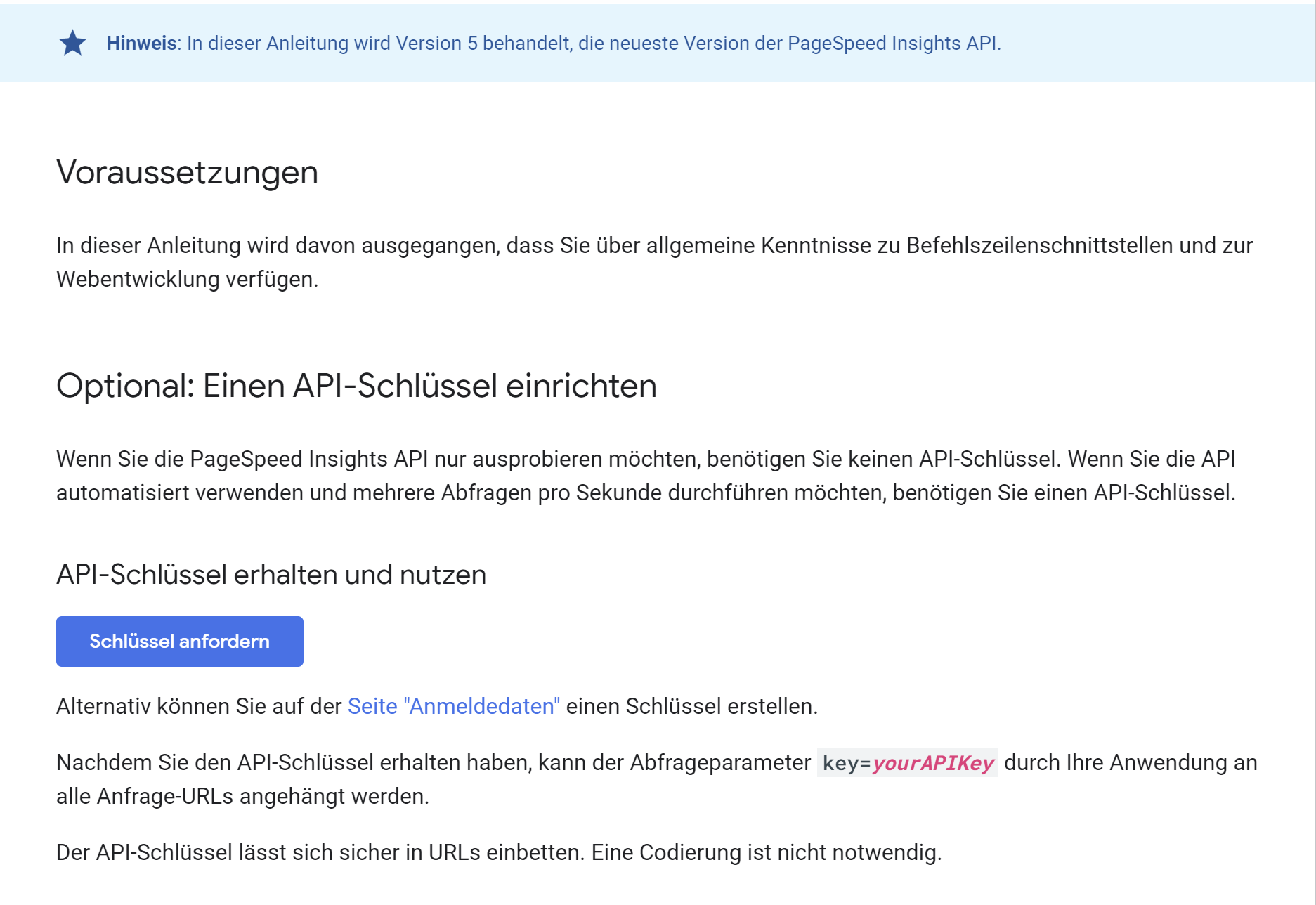 Google PageSpeed Insights: API Key anfordern