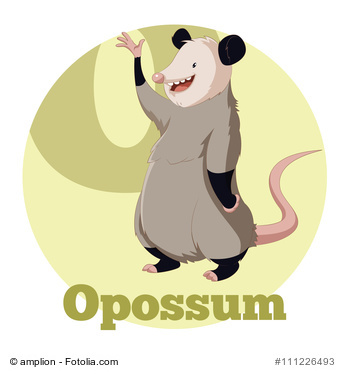 Opossum