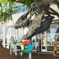 Google testet Bilder in Textanzeigen und Favicons in Suchergebnissen